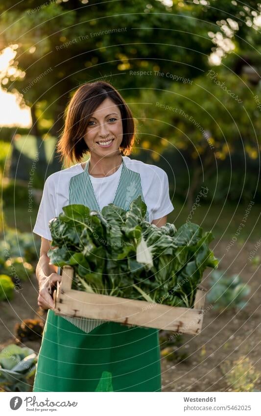 Frau arbeitet in ihrem Gemüsegarten Arbeit ernten freuen Glück glücklich sein glücklichsein zufrieden Gartenarbeit Gartenbau Wachstum Flora Pflanzen