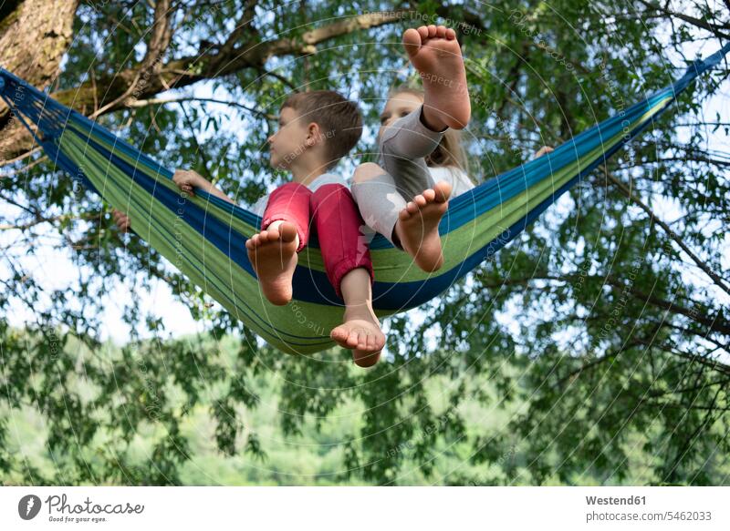 Kinder entspannen sich auf einer Hängematte an Bäumen im Wald Farbaufnahme Farbe Farbfoto Farbphoto Freizeitbeschäftigung Muße Zeit Zeit haben Freizeitkleidung