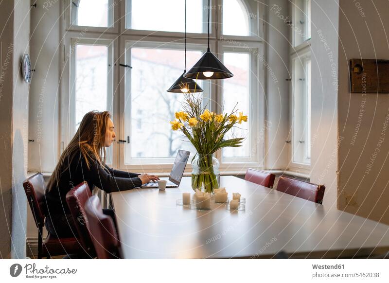 Junge Frau benutzt Laptop zu Hause auf dem Tisch Job Berufe Berufstätigkeit Beschäftigung Jobs Vasen Beleuchtungen Lampen Leuchte Deko Dekorationen dekorieren