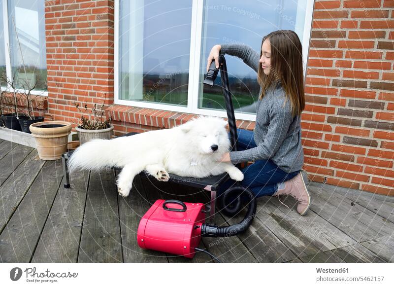 Mädchen föhnt weißen Hund auf Terrasse Hunde weiblich weißes weißer weiss fönen Terrassen Haustier Haustiere Tier Tierwelt Tiere Kind Kinder Kids Mensch