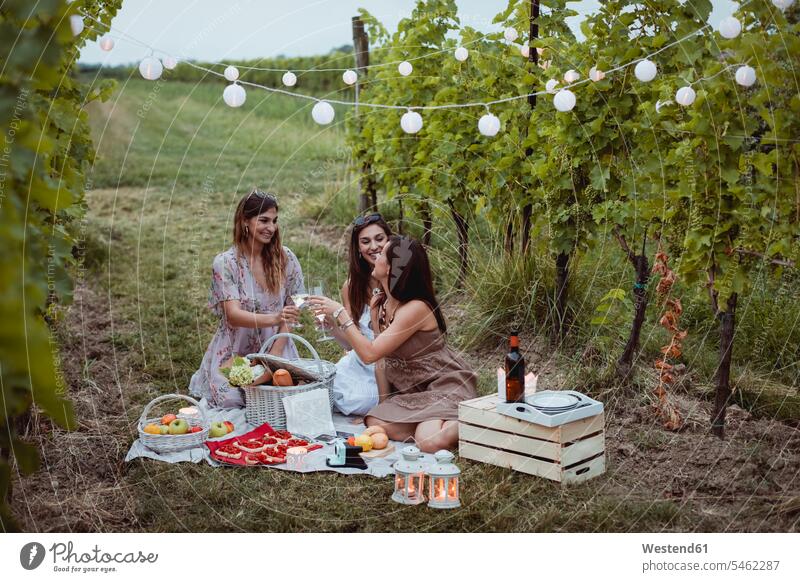 Freunde beim Sommerpicknick im Weinberg Sommerzeit sommerlich anstoßen zuprosten anstossen Weine trinken Picknick picknicken Weingaerten Weingarten Weingärten