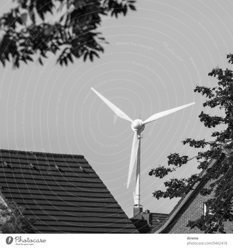 Energie fürs Eigenheim Windkraftanlage Energiewirtschaft Klima Kraft nachhaltig Erneuerbare Energie Dach Dorf urban Wohngebiet innerorts Hausdach