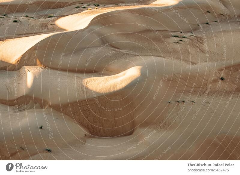 Sanddüne mit Licht und Schattenspiel mit Strukturen Außenaufnahme Farbfoto Natur Sonne Tourismus Wahiba Sands Oman omanische Wüste Landschaft