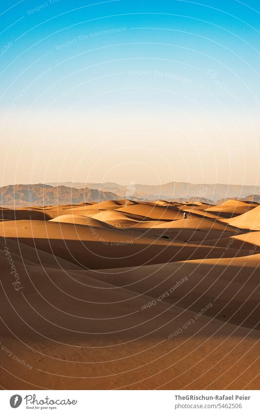 Sanddüne mit Licht und Schattenspiel mit Strukturen Sonnenlicht Außenaufnahme Farbfoto Natur Tourismus Wahiba Sands Oman omanische Wüste Landschaft