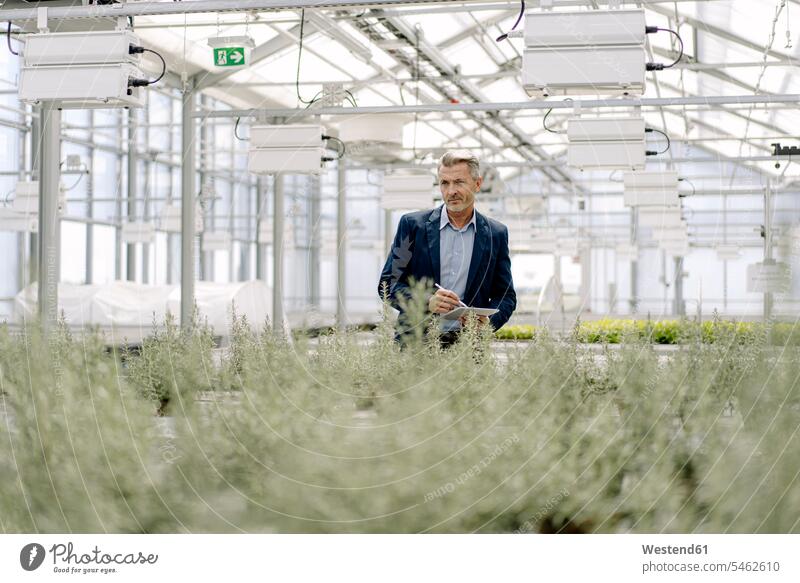 Männlicher Fachmann mit digitalem Tablett untersucht Pflanzen, die im Gewächshaus wachsen Farbaufnahme Farbe Farbfoto Farbphoto Deutschland Geschäftsleute