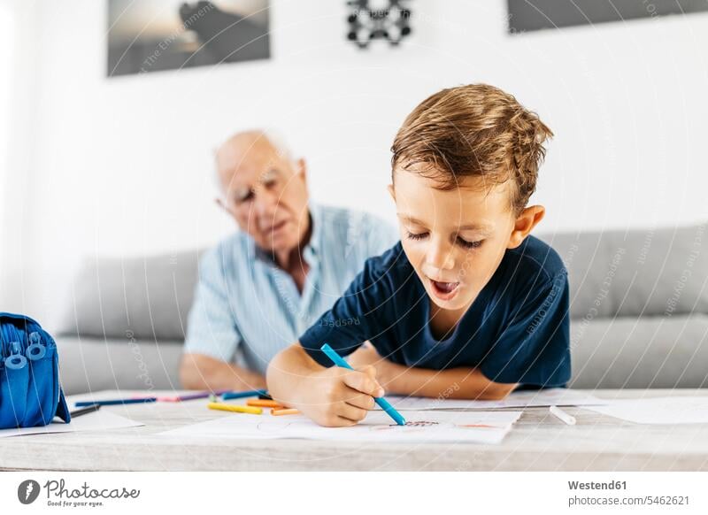 Porträt eines kleinen Jungen, der mit Buntstiften zeichnet, während sein Großvater im Hintergrund ihn beobachtet Buben Knabe Knaben männlich zeichnen Zeichnung