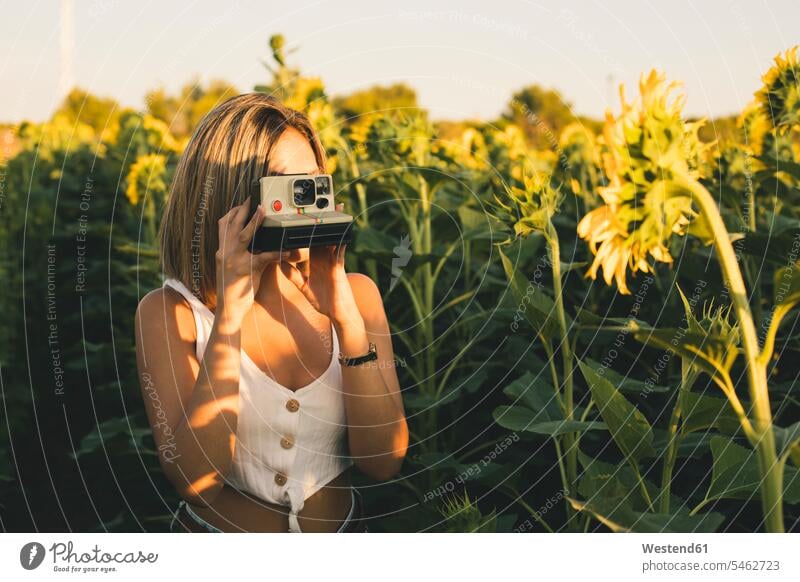 Junge Frau in einem Sonnenblumenfeld beim Fotografieren mit einer Sofortbildkamera fotografieren weiblich Frauen Fotoapparat Kamera Fotokamera