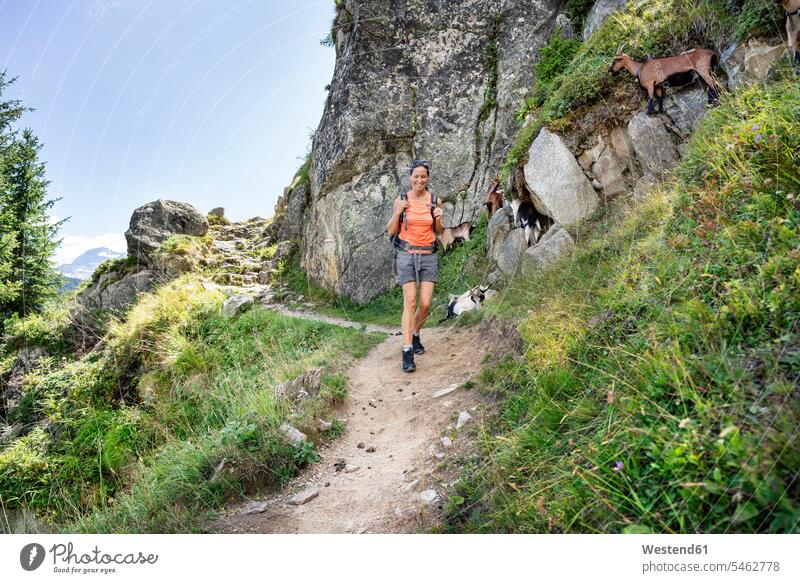 Schweiz, Wallis, glückliche Frau auf einer Wanderung in den Bergen von Belalp zur Riederalp weiblich Frauen wandern Glück glücklich sein glücklichsein