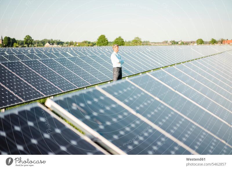 Reifer Mann steht in Solaranlage Alternative Energie Ökologie Sonnenkraftwerke Sonnenwärmekraftwerke Solarkraftwerke Solaranlagen Technologie Technologien