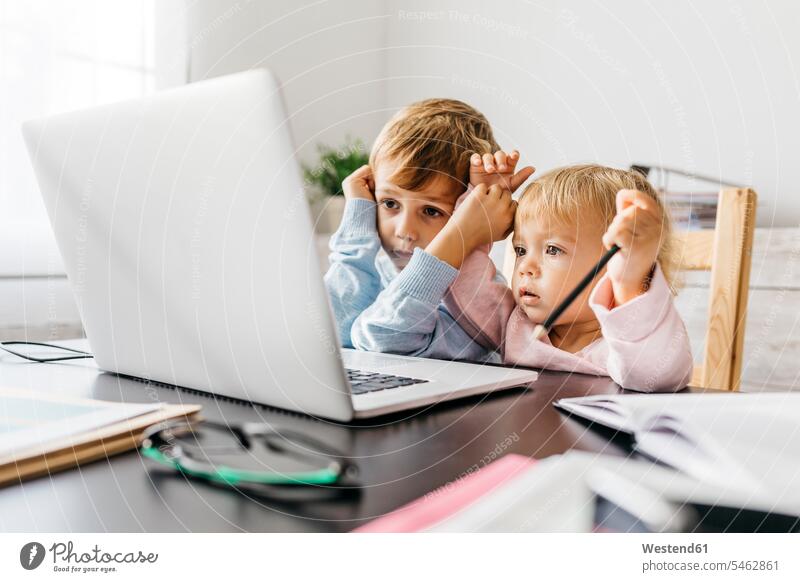 Bruder und Schwester beobachten ein Video auf einem Laptop Notebook Laptops Notebooks Mädchen weibliche Babys weibliches Baby weibliche Babies ansehen