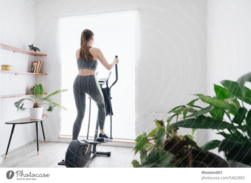 Frau, die zu Hause auf einem Ellipsentrainer trainiert daheim fit gesund Gesundheit Muße Lifestyles beweglich Biegsamkeit Anreiz Ansporn Antrieb motivieren