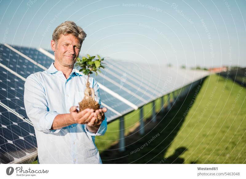 Reifer Mann mit Liguster, Solaranlage Ligustern Ligustrum halten Pflanzenschutz lächeln Sonnenkraftwerke Sonnenwärmekraftwerke Solarkraftwerke Solaranlagen