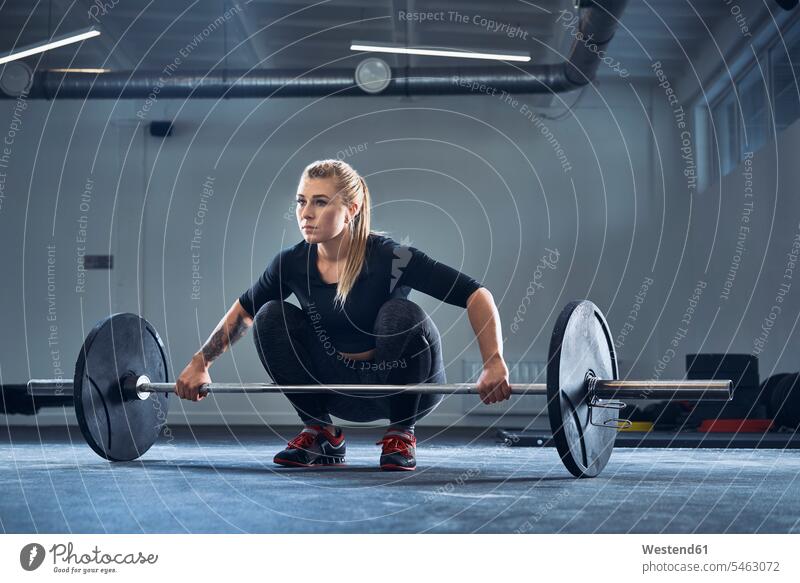 Frau macht Langhantelübungen im Fitnessstudio während des Gewichthebe-Trainings Fitnessclubs Fitnessstudios Turnhalle Hantel Hanteln Langhanteln heben weiblich