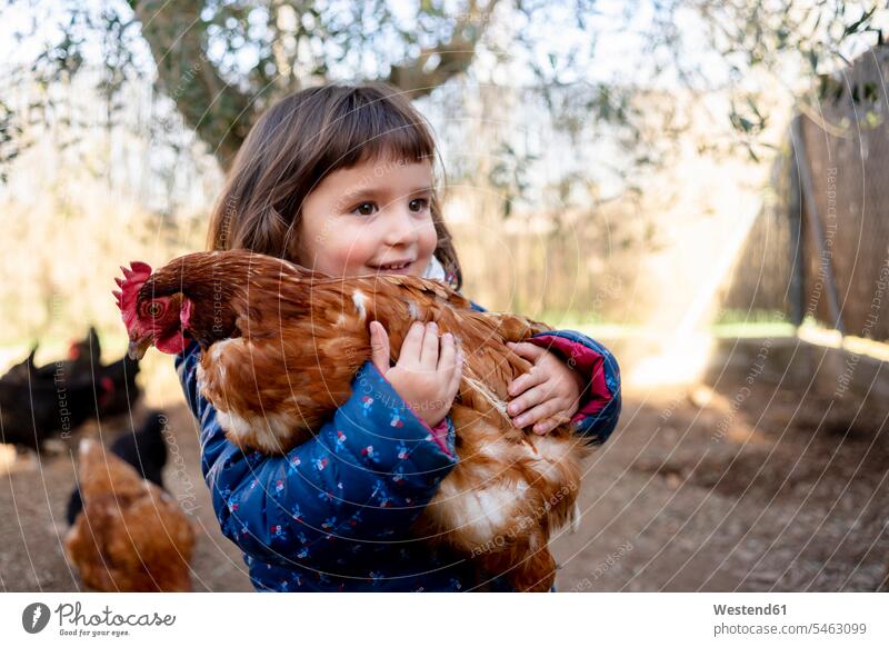 Porträt von lächelnden Kleinkind Mädchen hält Huhn weiblich halten Hühnerhof Huehner Portrait Porträts Portraits Kleinkinder Kindergartenalter Vorschulalter