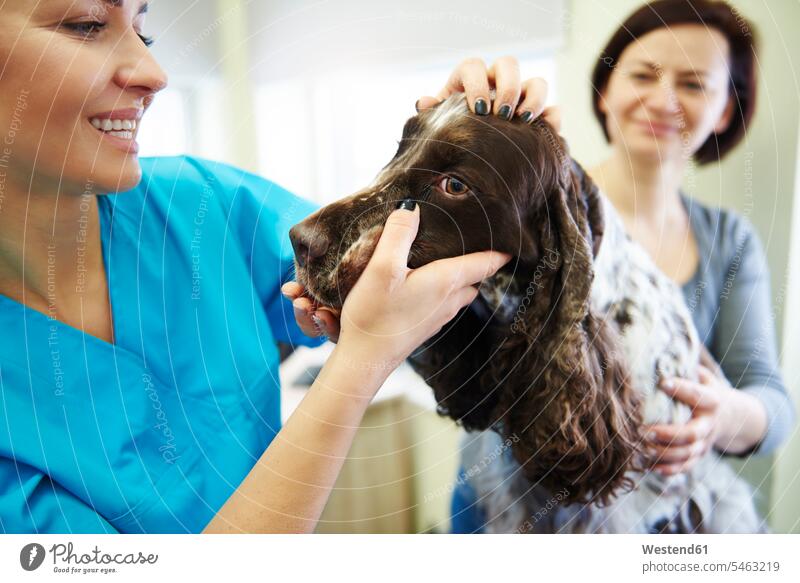 Tierärztin bei der Untersuchung eines Hundes in der Tierarztpraxis Tierarztpraxen Tierärztinnen Veterinaerin Veterinärinnen Tieraerztinnen Veterinaerinnen