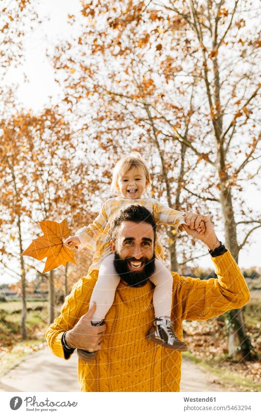 Vater trägt seine kleine Tochter auf den Schultern am Morgen in einem Park im Herbst tragen transportieren herbstlich Parkanlagen Parks auf der Schulter Papas