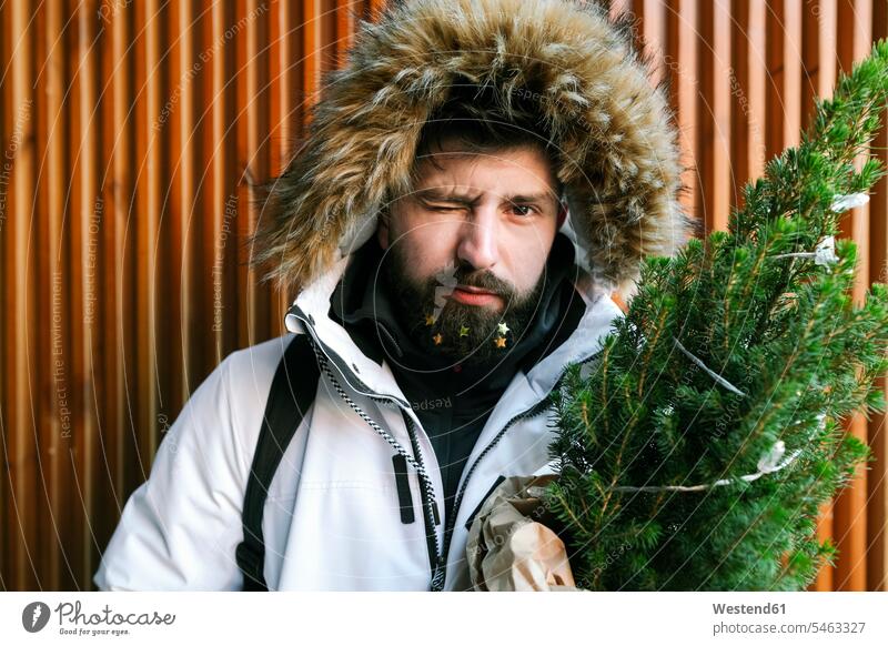 Junger Mann mit Weihnachtsbaum und goldenen Sternen im Bart Leute Menschen People Person Personen Europäisch Kaukasier kaukasisch 1 Ein ein Mensch eine