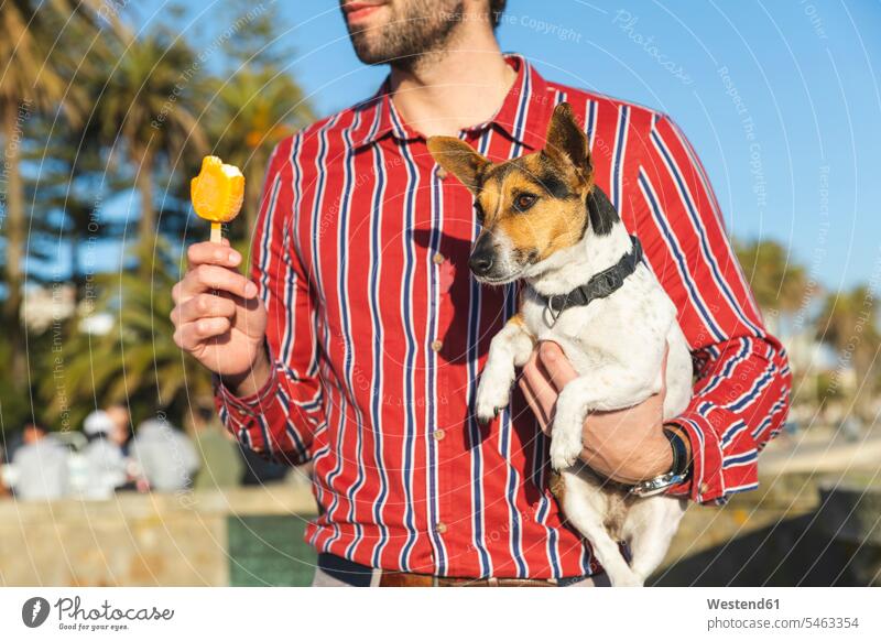 Junger Mann mit Hund auf dem Arm isst Eislutscher, Teilansicht Single Alleinstehende Unverheirateter Singles Alleinstehender ein Tier 1 Einzelnes Tier einzeln