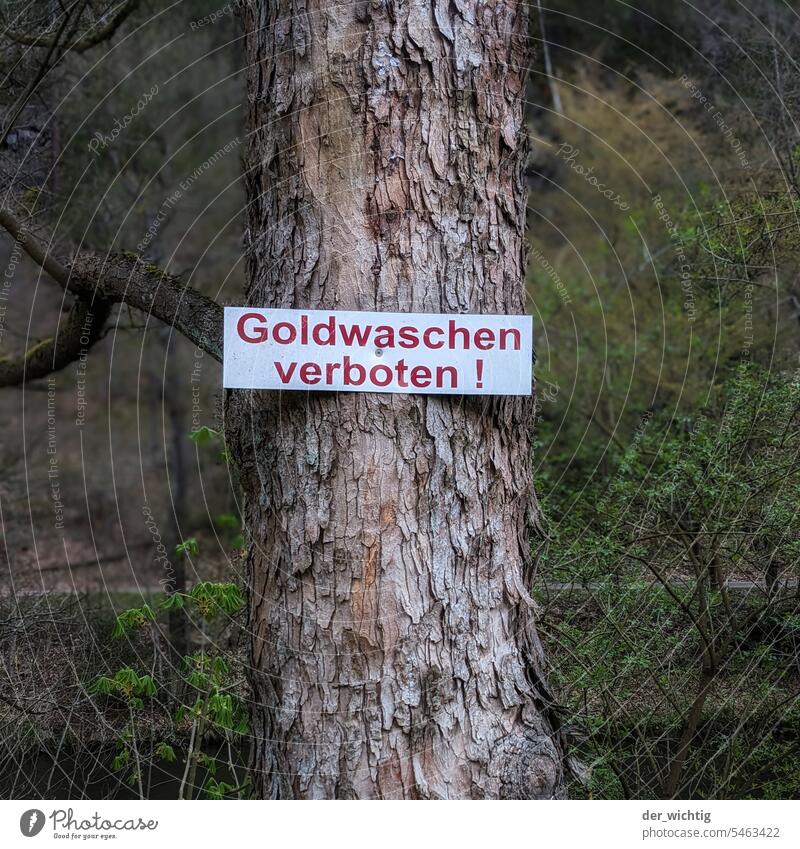 Goldwaschen verboten! Schilder & Markierungen Hinweisschild Menschenleer Außenaufnahme Farbfoto Verbote Verbotsschild Wald Baumstamm Dämmerlicht