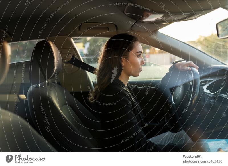 Junge Geschäftsfrau schaut beim Autofahren weg Farbaufnahme Farbe Farbfoto Farbphoto Fahrzeuginnenraum Sonnenuntergang Sonnenuntergänge Stimmung stimmungsvoll