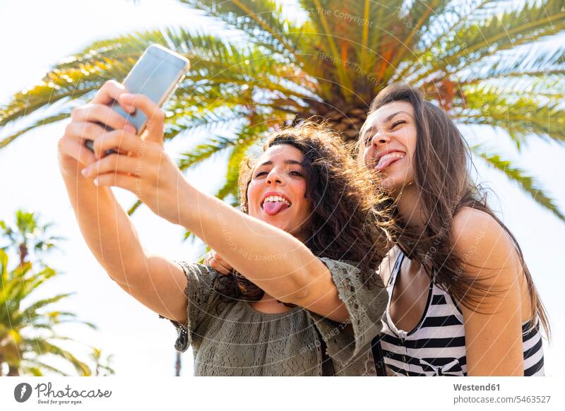 Zwei verspielte Freundinnen machen ein Selfie unter einer Palme Selfies spielerisch Palmen Freunde Freundschaft Kameradschaft Baum Bäume Baeume Lebensqualität