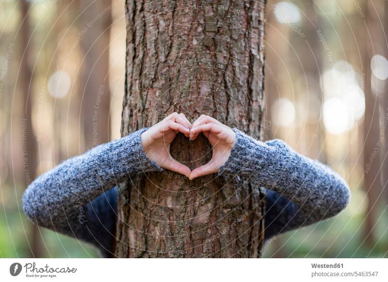 Frau umarmt Baum und macht Herzform im Wald von Cannock Chase Farbaufnahme Farbe Farbfoto Farbphoto Außenaufnahme außen draußen im Freien Tag Tageslichtaufnahme
