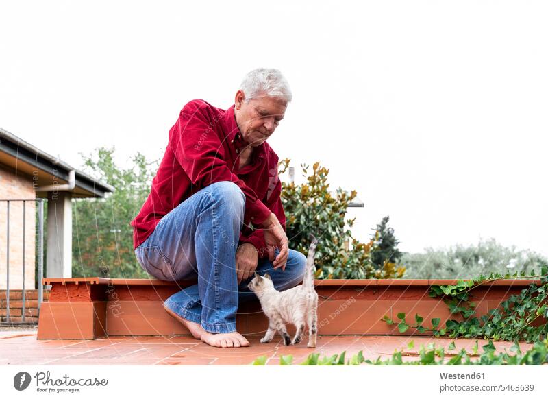 Älterer Mann mit Kätzchen auf der Dachterrasse sitzend Leute Menschen People Person Personen Europäisch Kaukasier kaukasisch 1 Ein ein Mensch eine