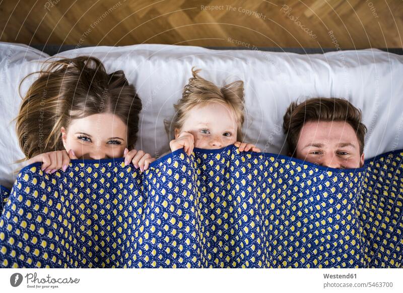 Glückliche Familie liegt im Bett und versteckt sich unter einer Decke verstecken glücklich glücklich sein glücklichsein Bettdecke Decken Bettdecken Betten