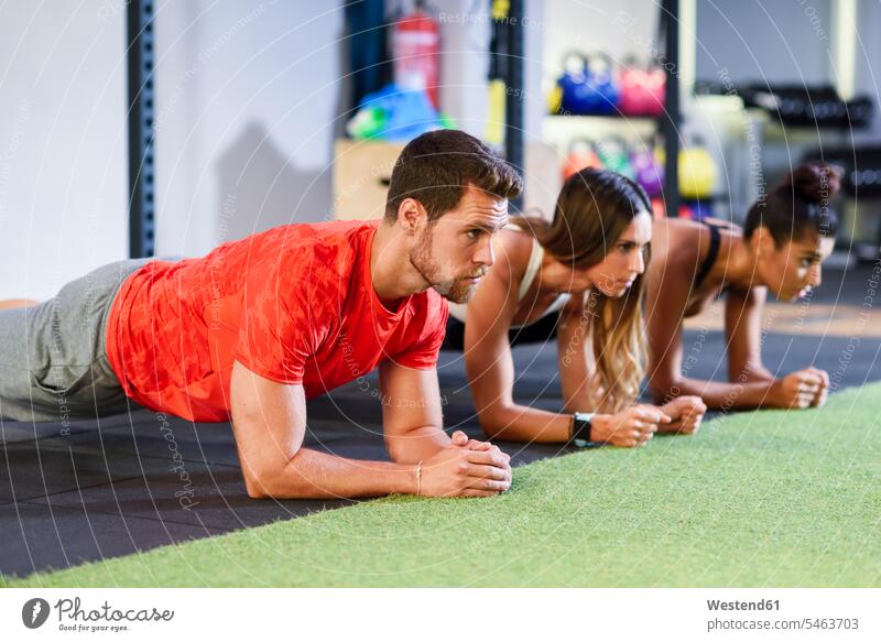 Junge Leute beim Üben von Plank-Variationen in einer Turnhalle Sportler Sportlerin Sportlerinnen trainieren Ausrichtung Aufstellung Haltung Workout