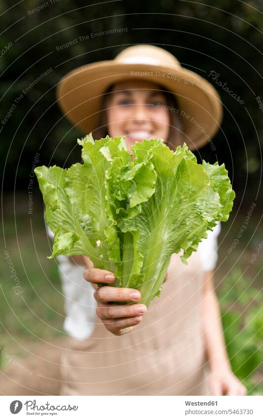 Lächelnde junge Frau mit Hut, die während der Ausgangssperre im Gemüsegarten Salat hält Farbaufnahme Farbe Farbfoto Farbphoto Spanien Außenaufnahme außen