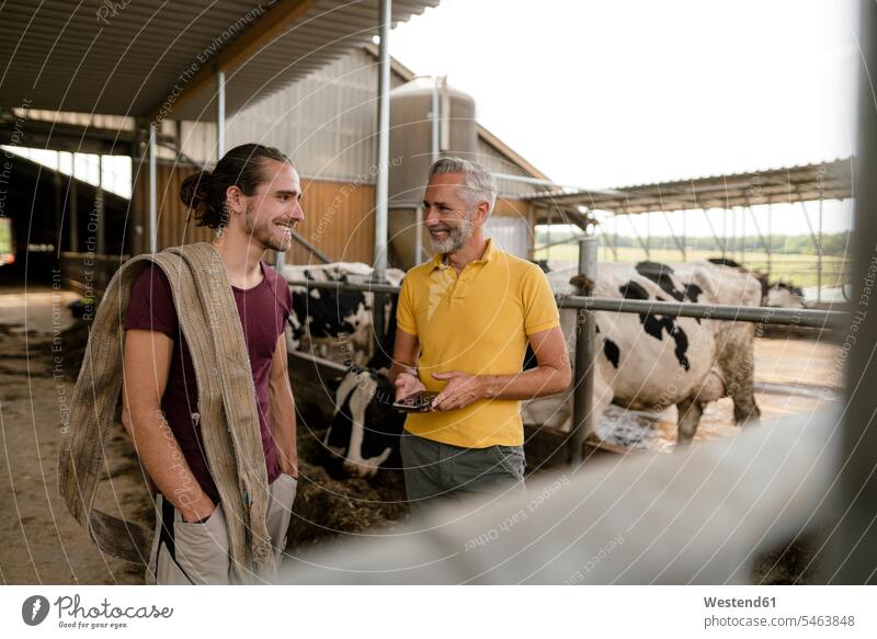 Lächelnder reifer Landwirt mit Smartphone und erwachsenem Sohn im Kuhstall auf einem Bauernhof Job Berufe Berufstätigkeit Beschäftigung Jobs Landwirte Tiere