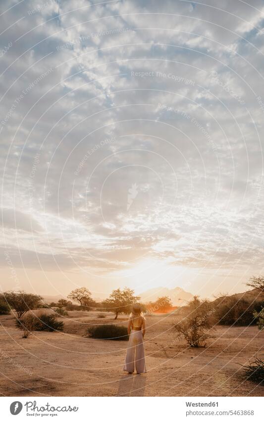 Namibia, Spitzkoppe, Frau stehend in Wüstenlandschaft bei Sonnenuntergang Sonnenuntergänge Landschaft Landschaften weiblich Frauen steht Stimmung stimmungsvoll
