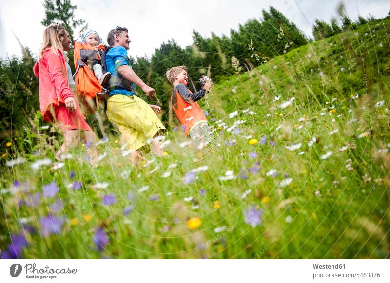 Familienwanderung auf der Blumenwiese Wiese Wiesen wandern Wanderung ländlich auf dem Land auf dem Lande Blüte Landschaft Landschaften Mensch Menschen Leute