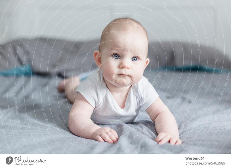 Porträt eines kleinen Jungen auf dem Bett liegend Betten liegt männliche Babys männliches Baby männliche Babies Portrait Porträts Portraits Kind Kinder Mensch