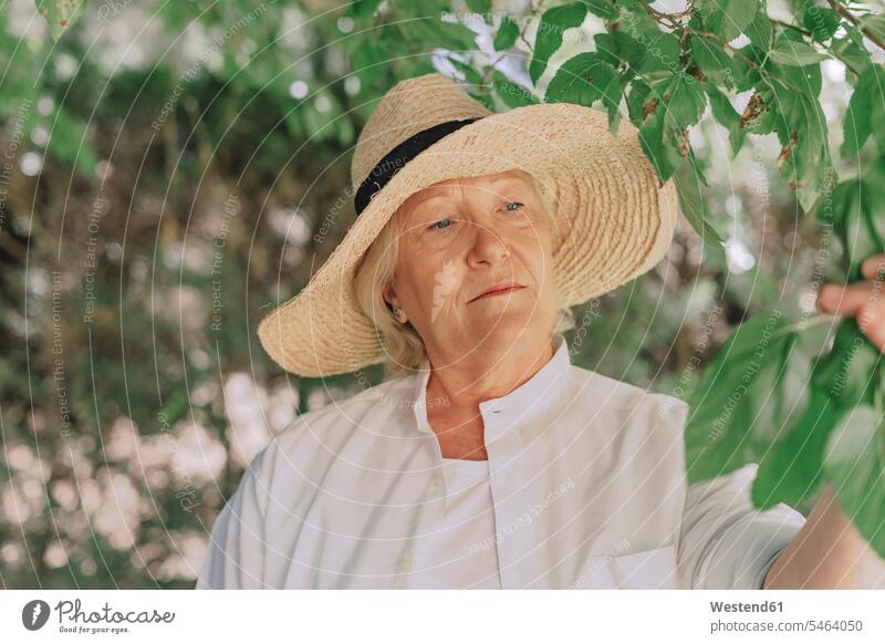 Nahaufnahme einer älteren Frau mit Hut, die die Pflanze im Hof betrachtet Farbaufnahme Farbe Farbfoto Farbphoto Spanien Freizeitbeschäftigung Muße Zeit