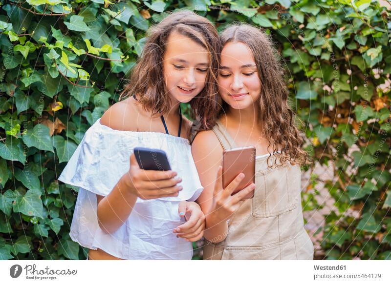 Junge Mädchen mit Smartphone auf Efeu-Hintergrund Freunde Kameradschaft Freundin Hecken Telekommunikation telefonieren Handies Handys Mobiltelefon Mobiltelefone