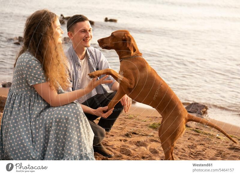 Paar mit Hund am Strand, Hund gibt Pfötchen Tiere Tierwelt Haustiere Hunde abends Glück glücklich sein glücklichsein zufrieden stolz stolz sein Muße Miteinander