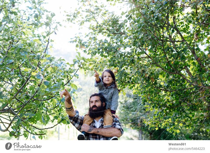 Vater mit Kind auf den Schultern in einem Obstgarten Leute Menschen People Person Personen Europäisch Kaukasier kaukasisch 2 2 Menschen 2 Personen zwei