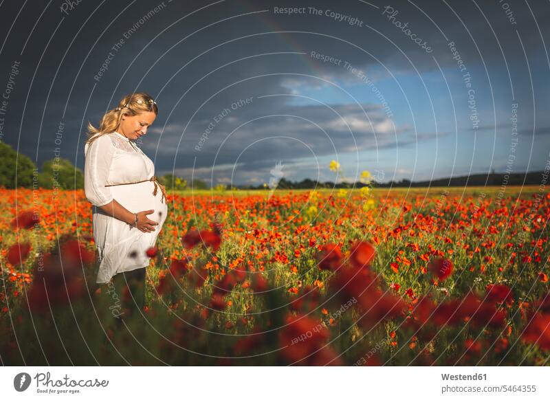 Schwangere Frau mit Händen auf dem Bauch steht inmitten von Mohnblumen vor bewölktem Himmel Farbaufnahme Farbe Farbfoto Farbphoto Deutschland