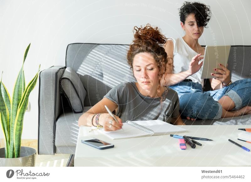 Junge Frau macht zu Hause Notizen, während ein Freund auf der Couch sitzt und ein Tablett benutzt Europäer zwei Personen junge Frau 25-30 Jahre Tablet benutzen