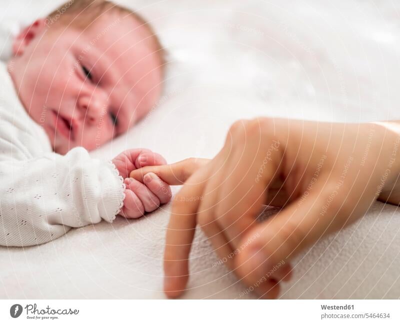 Neugeborenes Mädchen hält Finger der Mutter Hand Hände Mami Mutti Mütter Mama Kind Babies Babys Kinder Säuglinge Portrait Porträts Portraits weibliche Babys