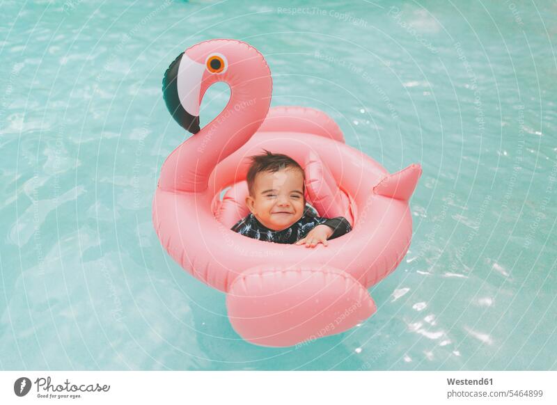 Sorgloser kleiner Junge in rosa Flamingo schwimmt im Schwimmbad Leute Menschen People Person Personen Europäisch Kaukasier kaukasisch 1 Ein ein Mensch