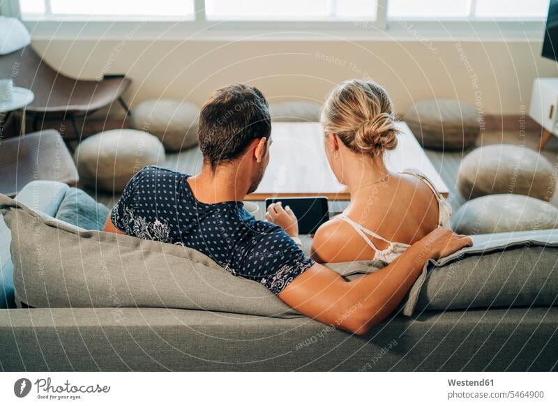 Rückansicht eines Paares, das im Wohnzimmer auf einer Couch sitzt und sich ein Tablett teilt Couches Liege Sofas sitzend entspannen relaxen entspanntheit relaxt