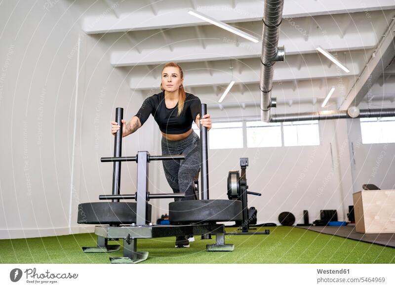 Frau schiebt Gewichtschlitten im Fitnessstudio Fitnessclubs Fitnessstudios Turnhalle schieben anschieben Gewichtsschlitten weiblich Frauen fit Gesundheit gesund