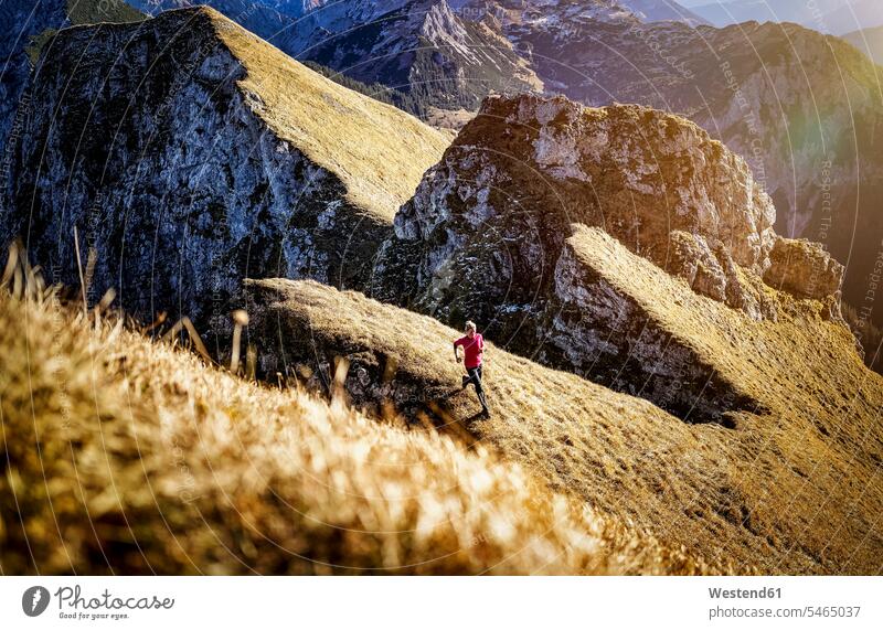Sportlerin beim Laufen auf dem Berg Aggenstein in Bayern, Deutschland Farbaufnahme Farbe Farbfoto Farbphoto Außenaufnahme außen draußen im Freien Tag