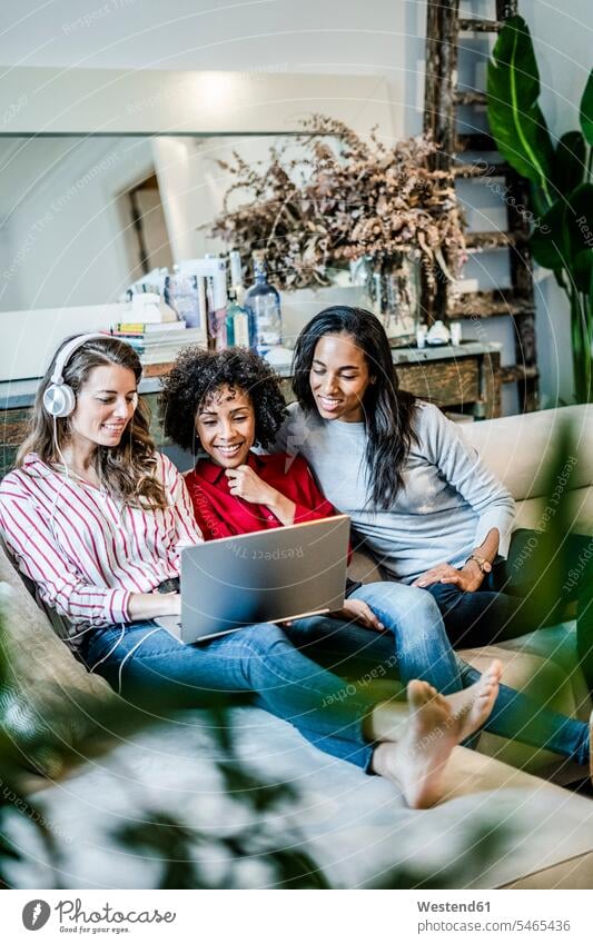Drei glückliche Frauen mit Laptop sitzen auf Couch sitzend sitzt weiblich Glück glücklich sein glücklichsein Notebook Laptops Notebooks Sofa Couches Liege Sofas