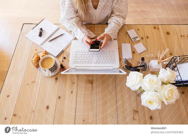 Junge Frau sitzt am Schreibtisch und benutzt einen Laptop benutzen Kaffee Arbeitstisch Schreibtische sitzen sitzend Geschäftsfrau Geschäftsfrauen Businesswomen