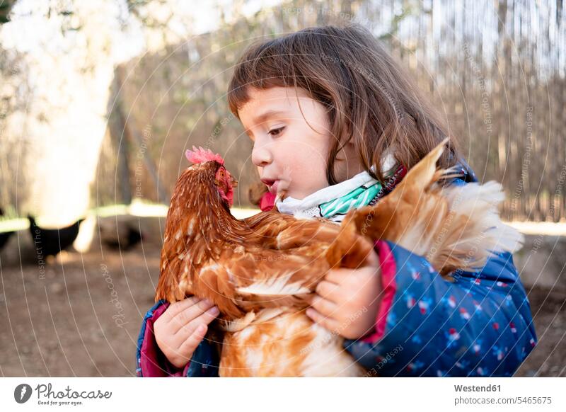 Kleinkind Mädchen im Gespräch mit Huhn auf ihre Arme Hühnerhof weiblich Kleinkinder Kindergartenalter Vorschulalter sprechen reden Kids Mensch Menschen Leute