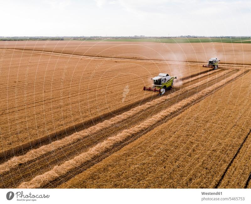 Serbien, Vojvodina: Mähdrescher auf einem Weizenfeld, Luftaufnahme Außenaufnahme draußen im Freien Anbaufläche Anbauflaeche Ernte ernten Weite Textfreiraum weit
