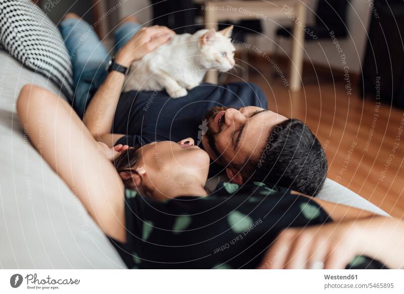 Junge Frau und mittelgroßer erwachsener Mann liegend auf Sofa und teilen zu Hause Zärtlichkeit mit Katze Farbaufnahme Farbe Farbfoto Farbphoto Innenaufnahme